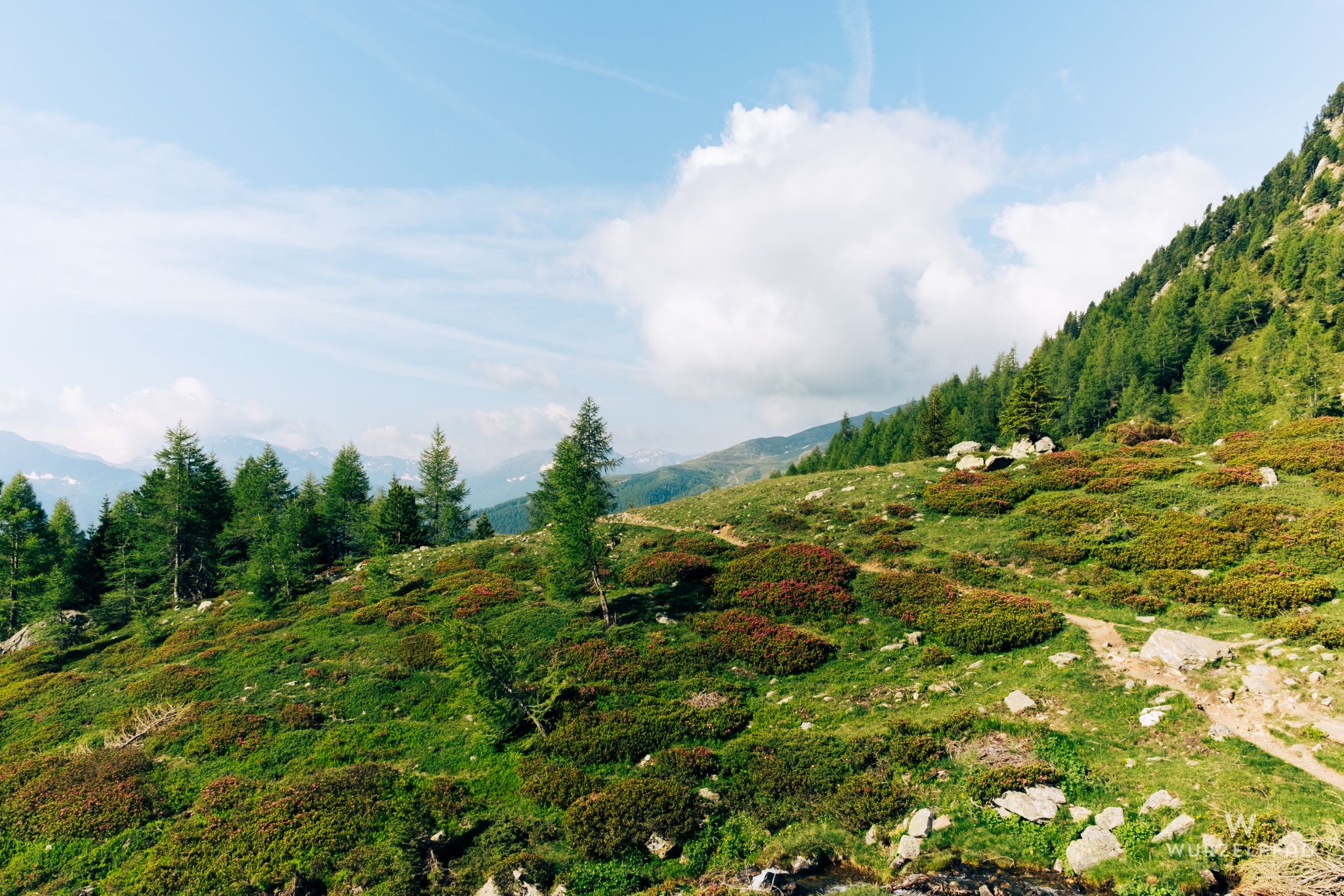 Blick zur Schwemmalm